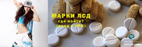 мдпв Козельск