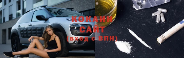 мдпв Козельск