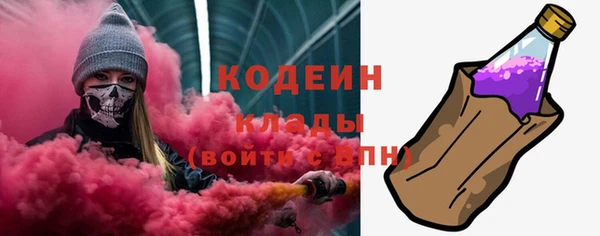 мдпв Козельск