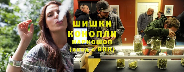 мдпв Козельск