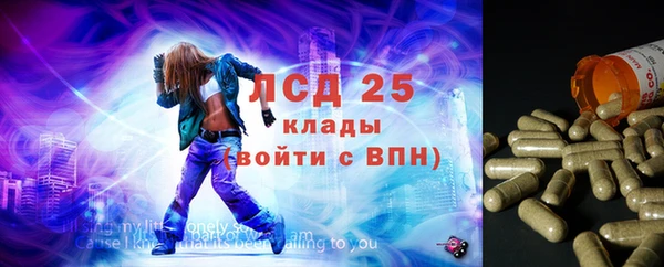 мдпв Козельск