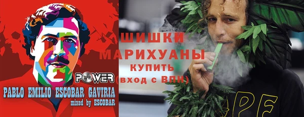 мдпв Козельск
