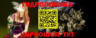 стаф Лесосибирск