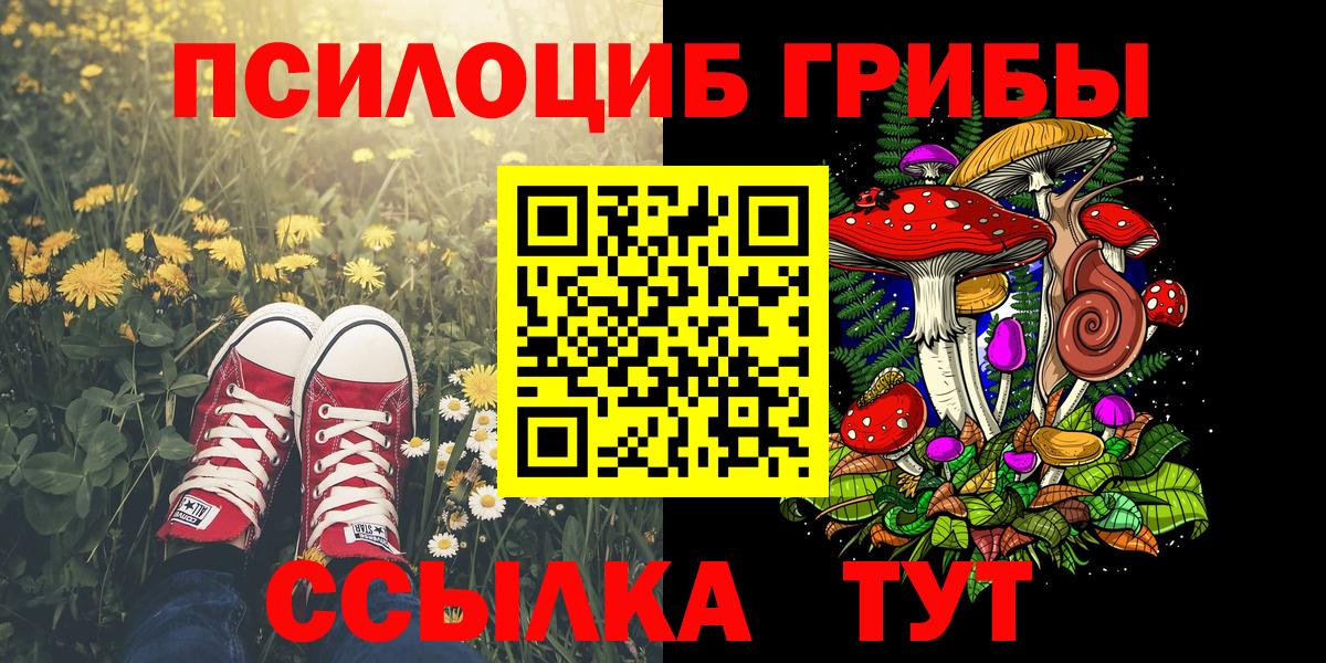 цены   Вход с VPN  Раменское  Псилоцибиновые грибы ЛСД  Галлюциногенные грибы ЛСД 
